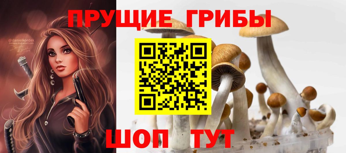 Апшеронск  Псилоцибиновые грибы мицелий  Вход с VPN 